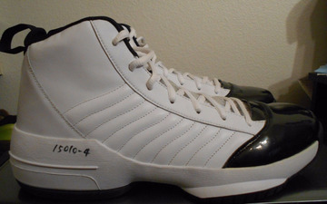 Air Jordan 19 SE Sample 'Concord' 现身ebay