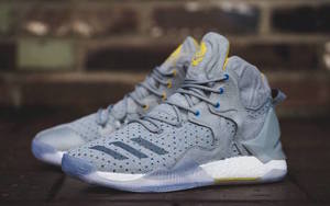 SNS x adidas D Rose 7 近赏