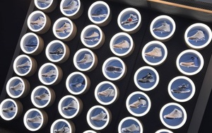 乔治城还是北卡？两校展示Jordan所有正代球鞋藏品