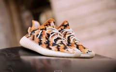 猛虎or萌虎？YEEZY Boost 350 “Tigerboost” 定制设计近赏