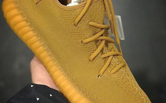 YEEZY BOOST 350 V2 "WHEAT"样品实物曝光