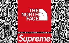 Supreme x THE NORTH FACE 可能还有一波“蛇鳞纹”设计！