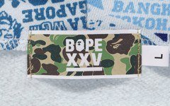 A BATHING APE「BAPE XXV」企划系列完整单品