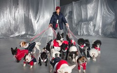 Moncler 与 Poldo Dog Couture 为宠物狗推出奢华羽绒外套