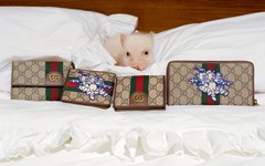 Gucci 推出最新 2019 猪年别注系列