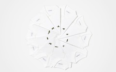 logo 替换成 10 种濒危动物！Lacoste 全新 “Save Our Species” 系列正式推出