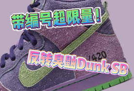 超限量带编号反转臭鼬 Dunk SB 曝光！本月发售