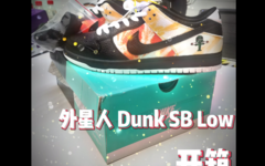 外星人 Dunk SB Low 开箱！