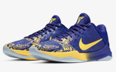 Kobe 5 Protro “5 Rings” 今日登场，你抢到了吗？