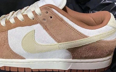 奶茶色调温和讨喜！全新 Nike Dunk Low 首度曝光！