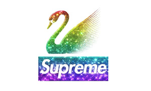 S logo 点缀！Supreme x Swarovski 联名曝光！