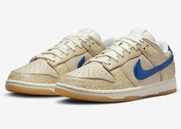 全新 Nike Dunk Low “Montreal Bagel” 官图曝光！