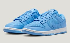 全新配色Nike Dunk Low 官图曝光！