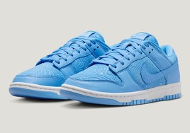 全新配色Nike Dunk Low 官图曝光！