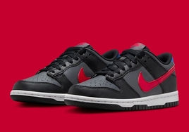 全新配色 Nike Dunk Low 官图曝光！