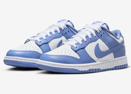 全新 ​Nike Dunk Low “Polar” 官图曝光！