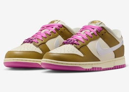 全新配色  Nike Dunk Low WMNS “Just Do It” 官图曝光！