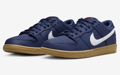 全新  Nike Dunk SB Low 官图曝光！