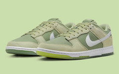 全新 Nike Dunk Low  官图曝光！