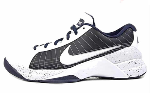 NIKE HYPERDUNK 2008 LOW