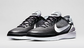 NIKE PAUL RODRIGUEZ 8