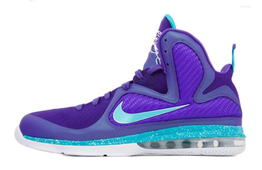 NIKE AIR MAX LEBRON IX