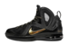 NIKE AIR MAX LEBRON IX ELITE