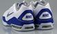 NIKE AIR MAX FULL COURT 2 LOW 