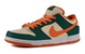 NIKE DUNK LOW SB 