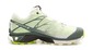 Salomon XT Wings 3