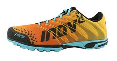 Inov-8 F-LITE 252