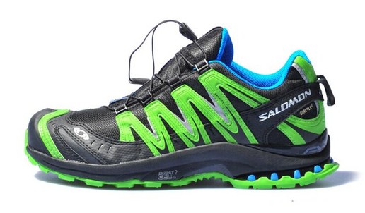 Salomon XA Pro 3D Ultra 2 GTX