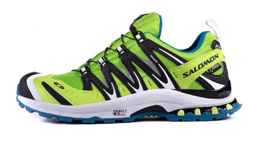 Salomon XA Pro 3D Ultra 2 GTX