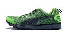 Puma Faas 300 TR