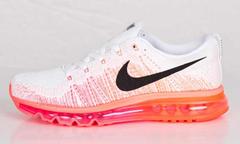 Nike Flyknit Air Max