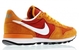 Nike Internationalist