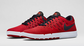 NIKE Free SB