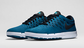 NIKE Free SB