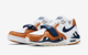 NIKE AIR TRAINER SC II Low