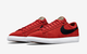 NIKE SB Blazer Low GT