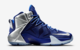 NIKE LEBRON XII