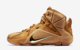 NIKE LEBRON XII EXT