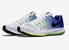 NIKE ZOOM PEGASUS 33