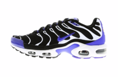 Nike Air Max Plus