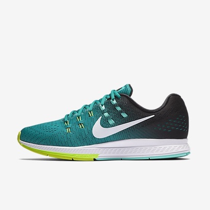 Nike Air Zoom Structure 19