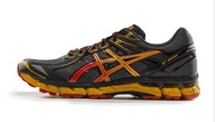 ASICS GT-2000 2 Trail