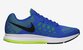 Nike Air Zoom Pegasus 31