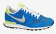 Nike Internationalist