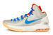 Nike ZOOM KD V 