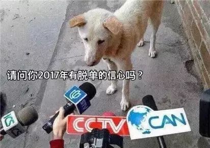 QQ图片20170616111821.jpg